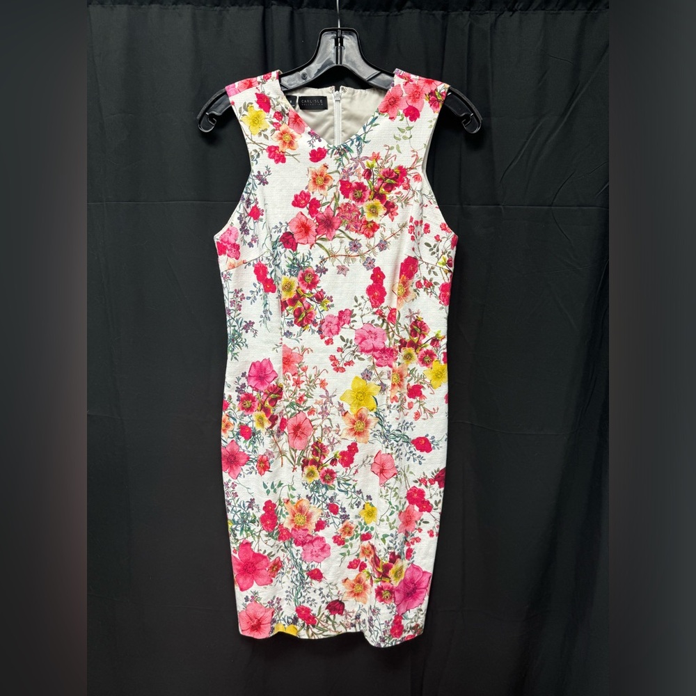 Vintage Carlisle dress